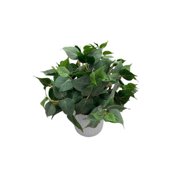 Artificial Potted Philo Bush - White Straight Textured Pot 1 by masons home decor singapore
