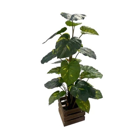 Artificial Potted Pothos - Square Brown Wooden Crate Box by masons home decor singapore