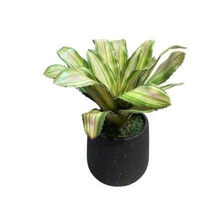 Artificial Yellow-Green Bromelia - Black Pot by masons home decor singapore