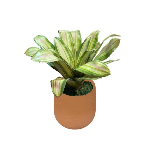 Artificial Yellow-Green Bromelia - Terracotta Pot by masons home decor singapore
