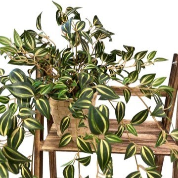 Artificial Yellow Green Wandering Jew Bush (Without Wooden Stand) - Basket by masons home decor singapore